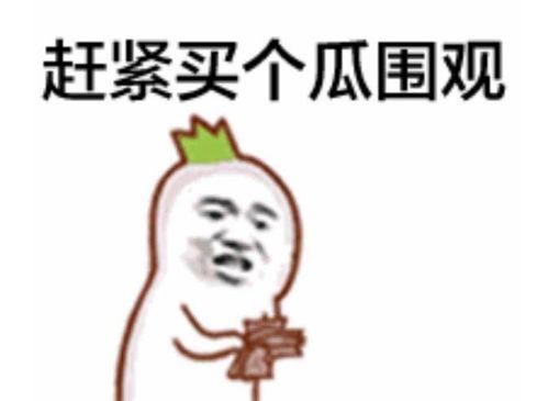 加油吃瓜群众直播视频,吃瓜群众热议加油吃瓜群众精彩瞬间