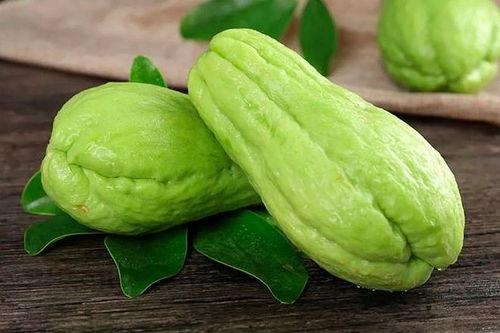 吃佛手瓜对人有益吗视频,健康饮食新选择