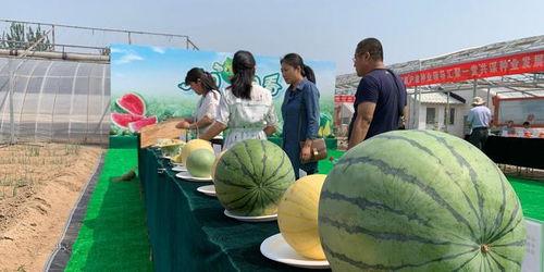 山西长治操场原视频吃瓜,揭秘背后真相