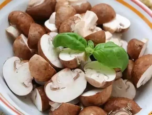 蘑菇视频在线吃瓜舌尖上,在线吃瓜，舌尖上的美食盛宴