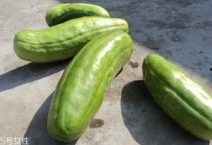 脆瓜能晒干吗怎么吃视频,视频揭秘美味晒干脆瓜的制作与享用