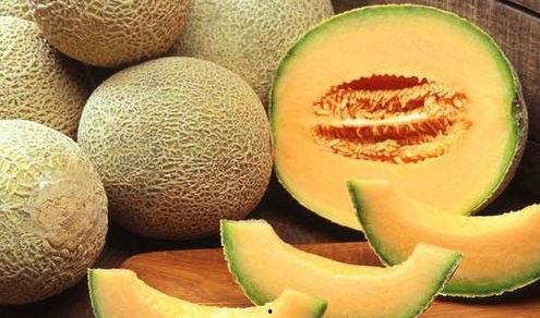 哈哥吃哈密瓜视频播放,视频播放带你领略甜蜜滋味