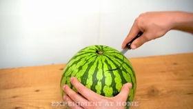 纸相册吃瓜视频,揭秘那些年我们一起追过的“瓜”