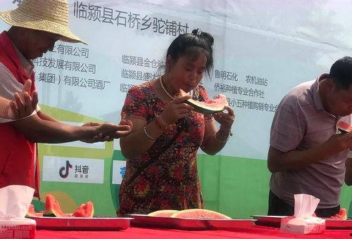 怎么举行吃瓜比赛视频,趣味十足！揭秘吃瓜比赛的热闹现场